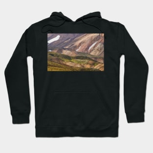 A Hike Through an Impressionist Painting Hoodie